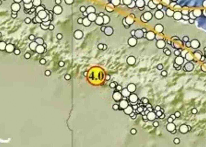 Gempa Magnitudo 4.0 Guncang Boven Digoel, Simak Lokasi Episentrumnya