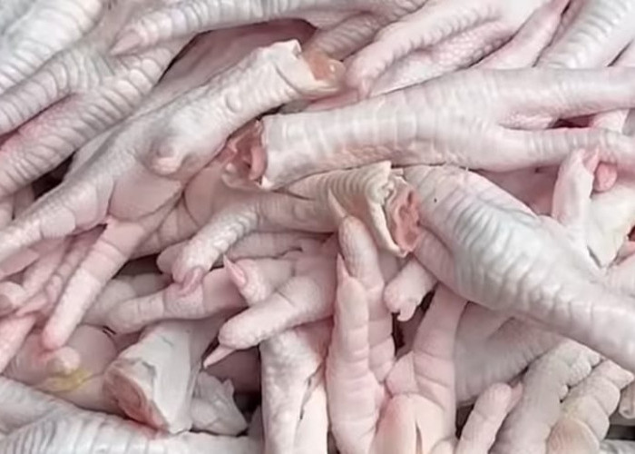 SIMAK! Berikut 7 Manfaat Mengonsumsi Ceker Ayam