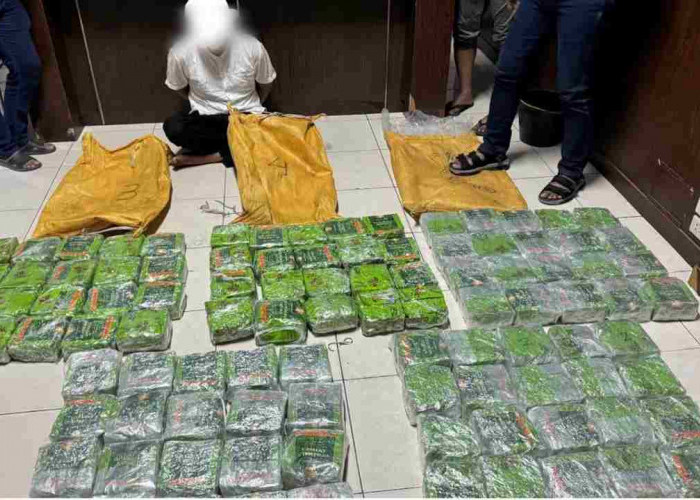 BNN dan Bea Cukai Berhasil Bongkar Jaringan Sabu 100 Kg di Aceh Timur, Ini Modusnya