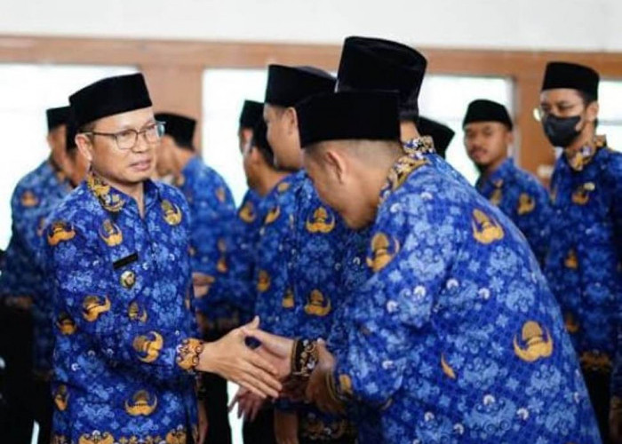 FAKTA! PPPK dan CPNS Jadi Pilihan Karier Paling Populer di Indonesia