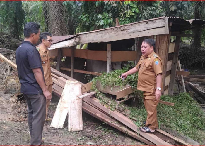 Strategi Dongkrak Ekonomi Desa, Pemdes Keban Jaya Alokasikan 20 Persen Dana Desa untuk Peternakan Sapi