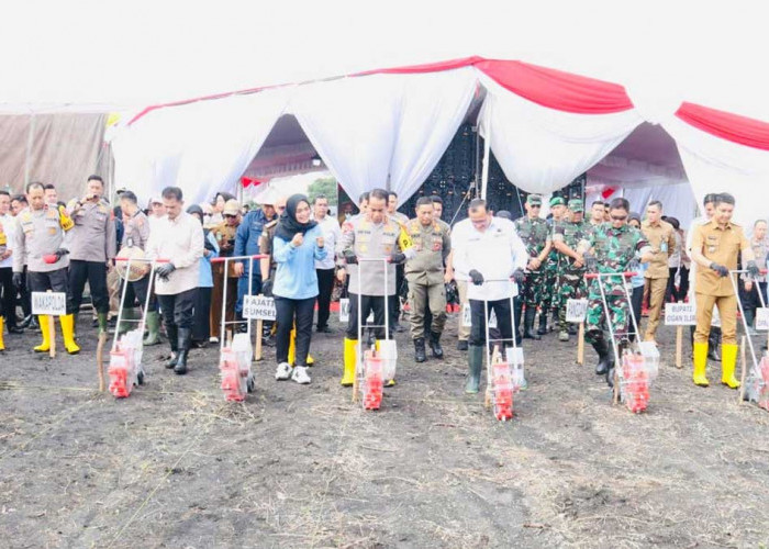 Kapolda Sumsel Bersama Pangdam II Sriwijaya Tanam Jagung Serentak di Ogan Ilir