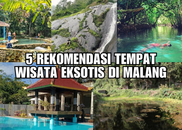 Wajib Kamu Datangi! 5 Rekomendasi Tempat Wisata Healing dan Eksotis di Malang Raya