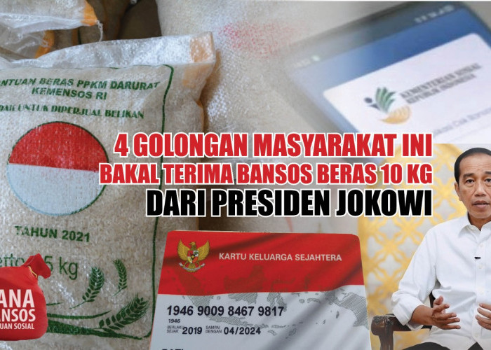 Selamat 4 Golongan Masyarakat Ini Bakal Terima Bansos Beras 10 Kg dari Presiden Jokowi, Siapa Saja?