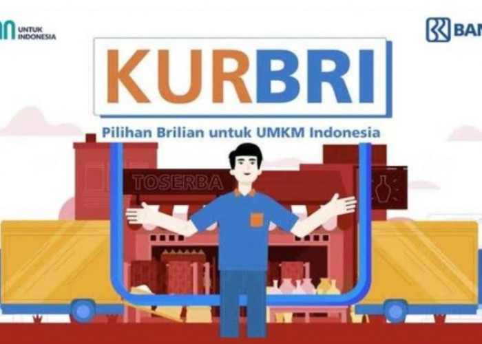 KUR BRI 2024, Solusi Terbaik untuk UMKM dengan Beragam Keuntungan Menarik