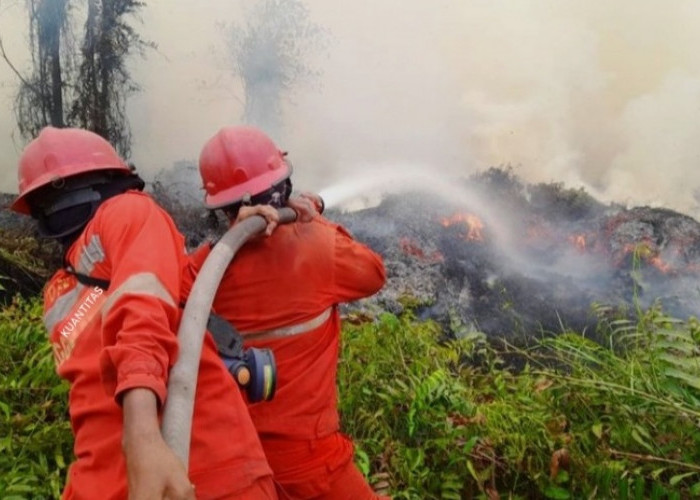 Karhutla Masuk Status Darurat, MUI Desak Pemerintah dan Aparat Bertindak Tegas