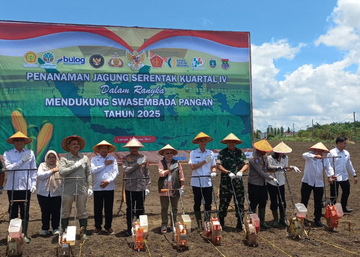 Penanaman Jagung Serentak Kuartal IV, Wujud Sinergi Polri dan Pemerintah Dukung Swasembada Pangan Nasional