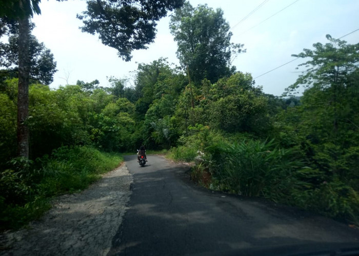 Waduh Jalan Alternatif Menuju 6 Desa di Lahat Terancam Putus, Ternyata Ini Loh Penyebabnya