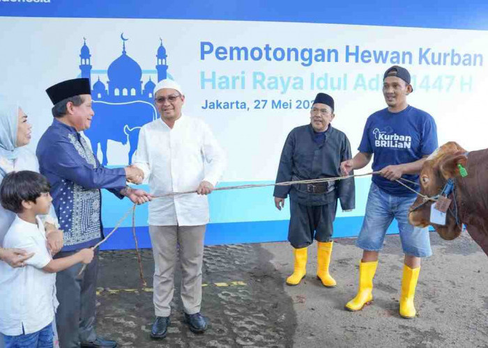 Momentum Idul Adha, BRI Group Distribusikan lebih dari 5000 Hewan Kurban di Berbagai Daerah di Indonesia