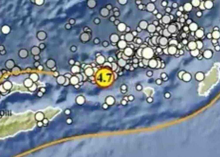 Gempa Magnitudo 4,7 Terjadi di Maluku Barat Daya Pagi Ini, Tidak Berpotensi Tsunami