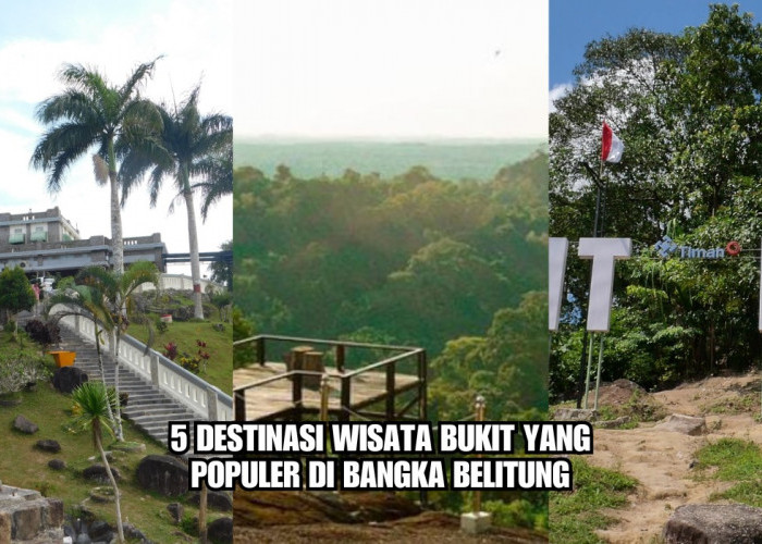 5 Destinasi Wisata Bukit yang Populer di Bangka Belitung,Salah Satunya Jadi Hutan Digital Pertama di Indonesia