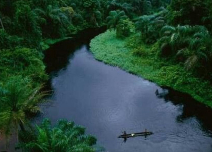 4 Fakta Menarik Sungai Siak, Sungai Terdalam di Indonesia yang Punya Banyak Kisah Mistis