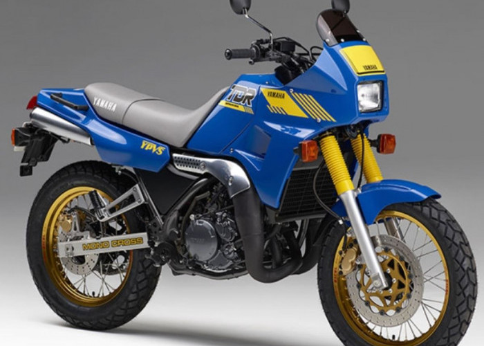 Tenaganya Bikin Minder Kawasaki, Inilah Motor Adventure Yamaha TDR 250, Masih Dijual?
