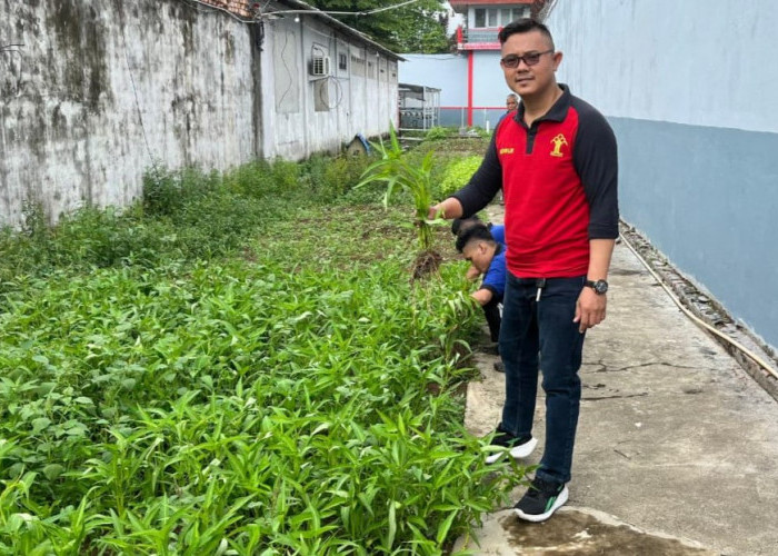 Warga Binaan Lapas Sekayu Kembali Panen Kangkung, Ini Kata Kalapas