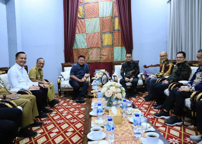Solusi Cegah Gangguan Listrik Akibat Karhutla: Komitmen Kolaborasi Pemprov Sumsel Bersama PLN UIP3B Sumatera