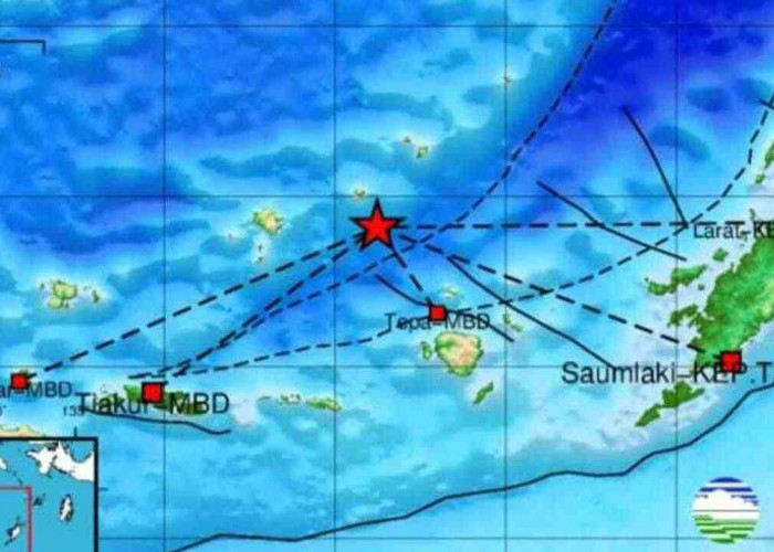 Update BMKG, Gempa 4.7 Guncang Maluku Barat Daya, pada Kedalaman 209 Km