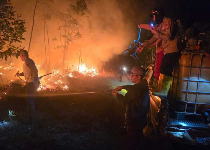 10 Hektar Lahan Karet dan Sawit Dilahap Si Jago Merah, Tim Gabungan Bergerak Cepat Padamkan Api