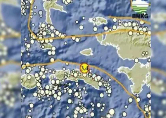 Pagi Ini Gempa Guncang Seram Bagian Timur Maluku, Cek Episentrum dan Kekuatan Magnitudonya