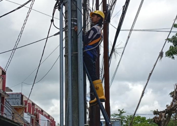 PLN Icon Plus Sumbagsel Tertibkan Kabel Optik di 5 Provinsi, Hadirkan Lingkungan yang Lebih Aman