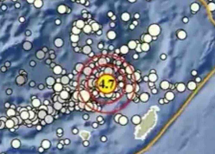 Gempa Magnitudo 4,7 Baru Saja Guncang Maluku Tenggara Barat, Tak Berpotensi Tsunami