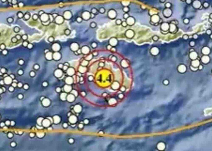 Rentetan Gempa Guncang Indonesia Pagi Ini! Dari NTT hingga Papua, Ada yang Dangkal Cuma 2 Km!