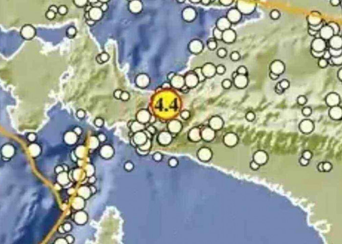Gempa Magnitudo 4.4 Guncang Nabire Papua, Cek Detail Episentrum dan Kekuatannya