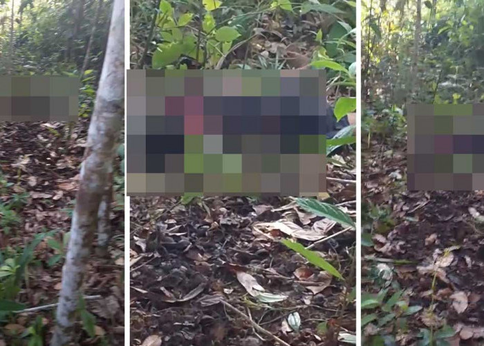 Pamit Keluar Rumah Sebelum Isya, Bocah SD di OKI Ditemukan Meninggal di Kebun Karet