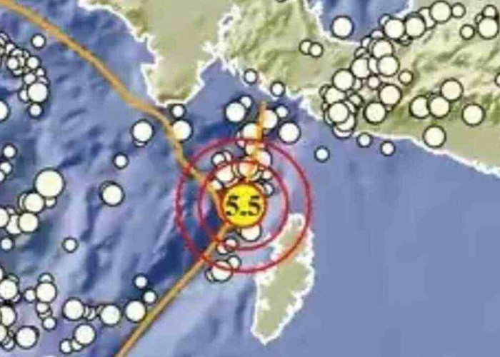 Gempa Magnitudo 5,5 Guncang Kepulauan Aru Pagi  Ini, Tak Berpotensi Tsunami