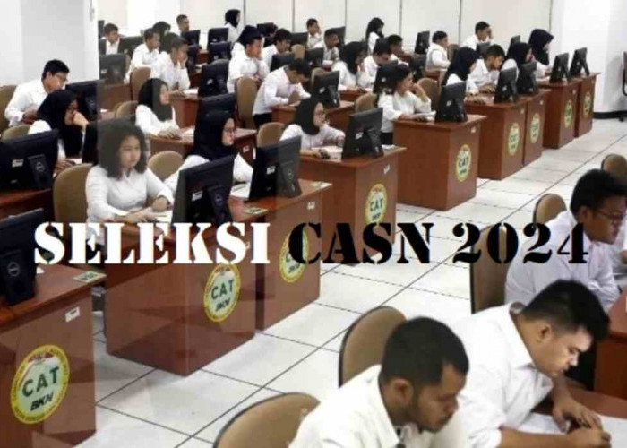 JANGAN LEWAT! Seleksi CASN 2024, Pemerintah Buka Lowongan untuk 1.289.824 Formasi