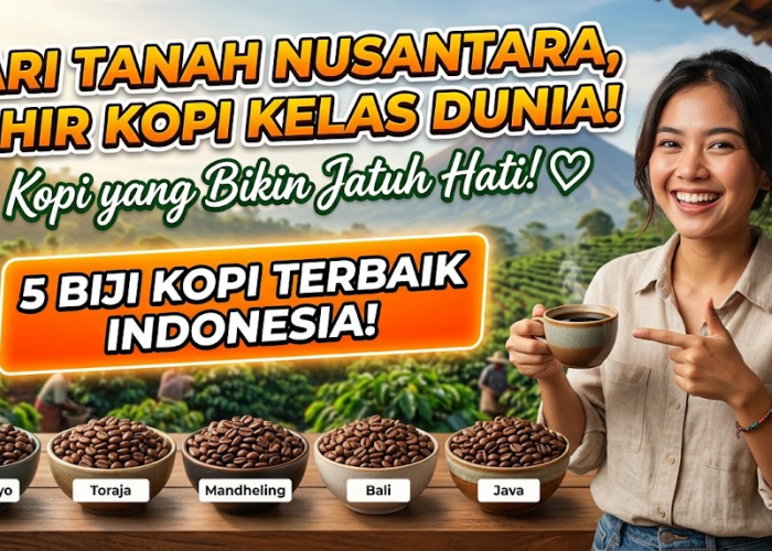 Dari Tanah Nusantara, Lahir Kopi Kelas Dunia! Ini 5 Biji Kopi Indonesia dengan Cita Rasa yang Bikin Jatuh Hati