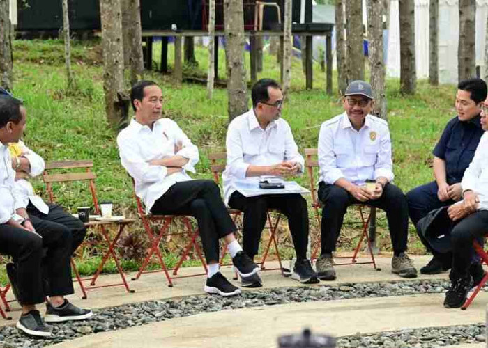 Akhir Agustus Relawan Projo Bakal Kumpul Bareng Jokowi di IKN, Klaim Tak Pakai APBN Sepeserpun