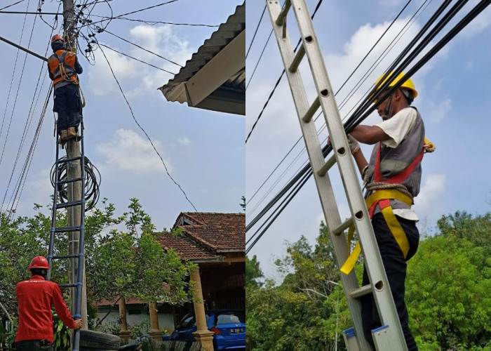 PLN Icon Plus Sumbagsel Rutin Tertibkan Kabel FO, Jaga Keandalan Layanan dan Keamanan Publik