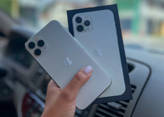 Konsumen Indonesia Tetap Membeli iPhone 11 Meskipun Banyak Tipe Lain, Simak 4 Alasannya!