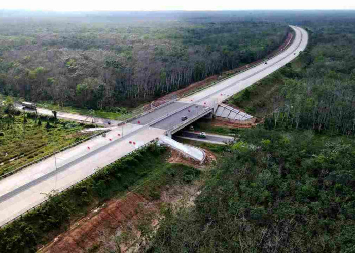 Pengadaan Lahan Dipercepat, Proyek Tol di Sumsel Makin Dekat Rampung