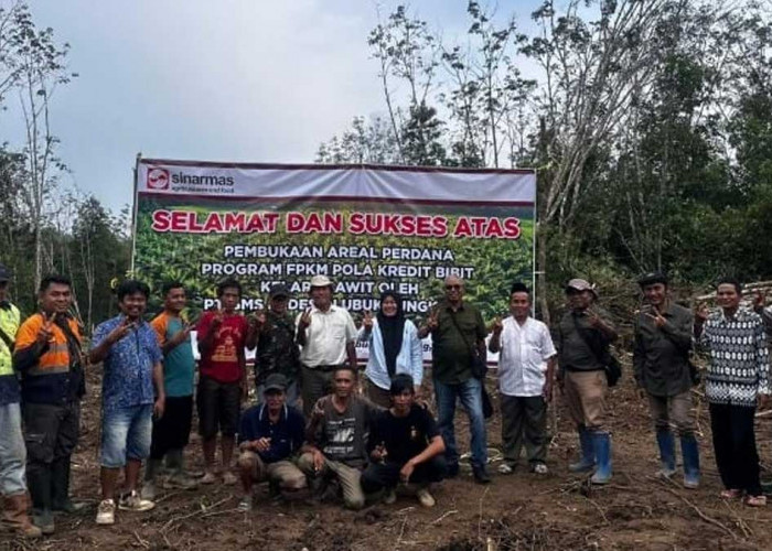 Gak Perlu Modal Awal! Pemdes Lubuk Lungkang dan PT SMS Garap 125 Hektar Kebun Sawit Warga