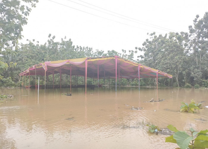 Viral! Gegara Tenda Terendam Banjir, Hajatan Ngunduh Mantu Diundur
