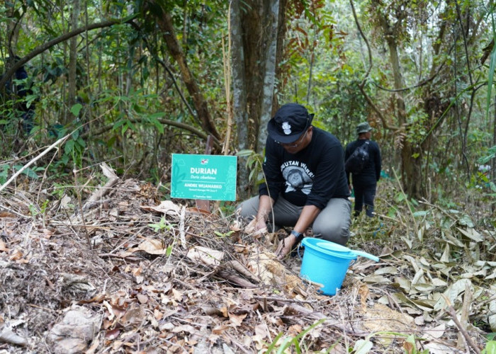 PT Pertamina EP Kerjasama Dengan Borneo Orangutan Survival Foundation, Ini Tujuannya