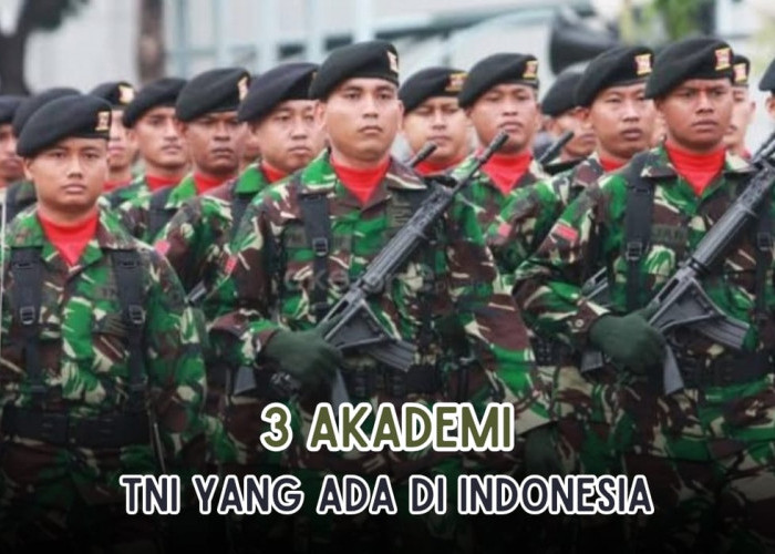 Ingin Jadi TNI? Yuk Intip 3 Sekolah Akademi TNI yang Ada di Indonesia, Ini Daftar Lengkap Program Studinya