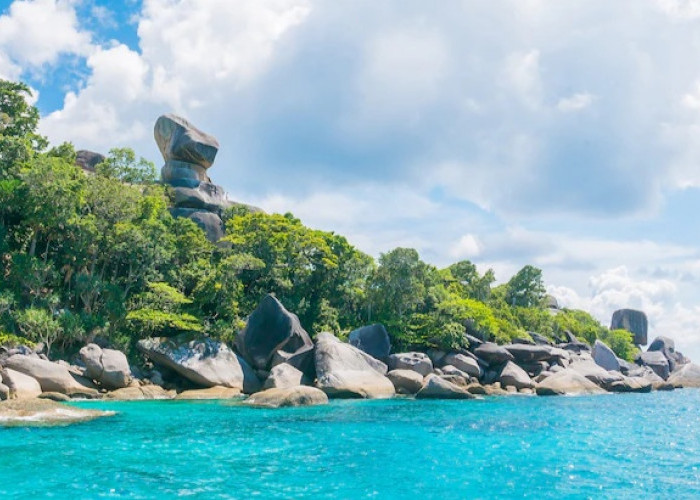 6 Destinasi Wisata Terbaik di Wakatobi, Nikmati Suguhan Wisata Bahari yang Manjakan Diri