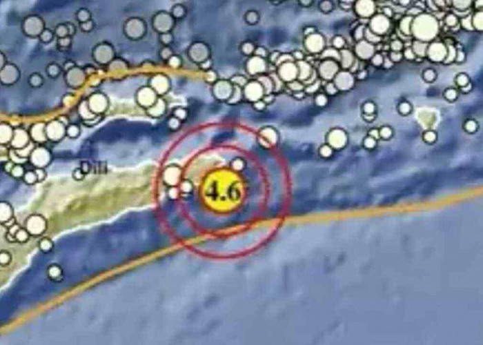 Gempa Magnitudo 4,6 Pagi Ini Guncang Maluku Barat Daya, Tak Berpotensi Tsunami