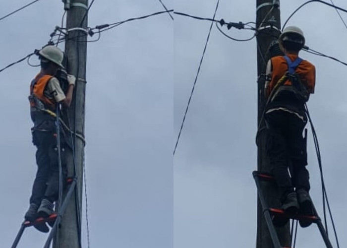 Jaga Keandalan Jaringan, PLN Icon Plus Sumbagsel Lakukan Penataan Kabel dan Relokasi Kabel Fiber Optik