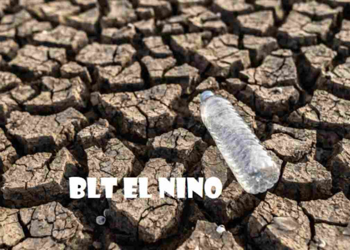 SP2D Keluar, BLT El Nino Langsung Cair 2 Bulan Rp400.000, Catat Tanggal Pembagiannya Ya
