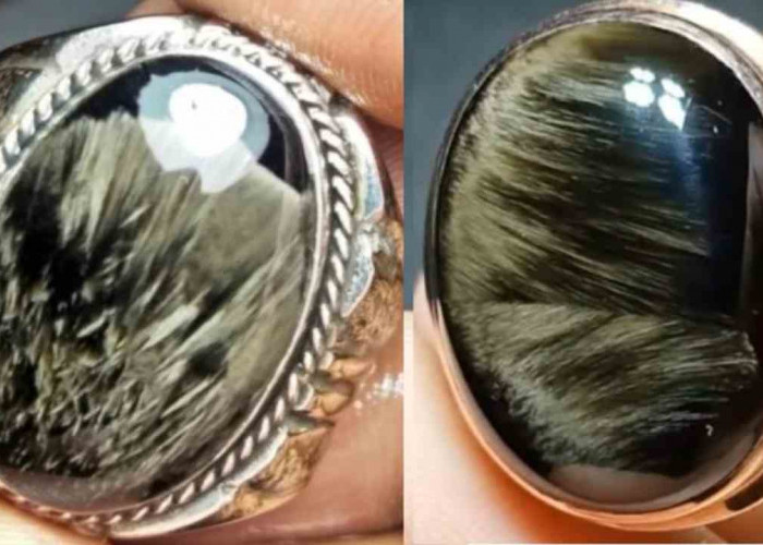 Ungkap Misteri Batu Akik Macan: Simpan Aura Raja Hutan, Konon Bisa Bangkitkan Keberanian Gaib  