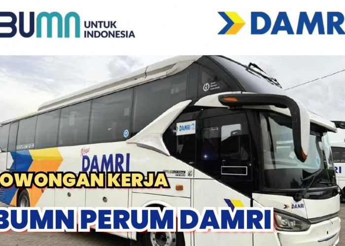 Lowongan Kerja BUMN Perum DAMRI Terbaru, Simak Posisi dan Cara lamar