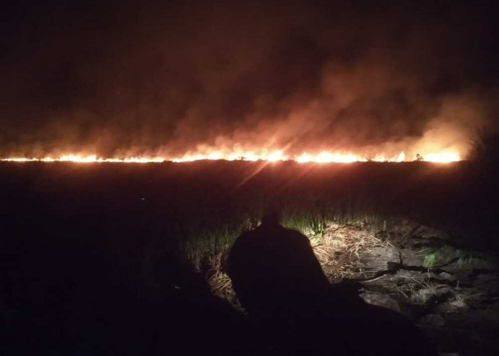 Kebakaran Lahan di OI Meluas, Ini yang Dilakukan Forkompinda Ogan Ilir