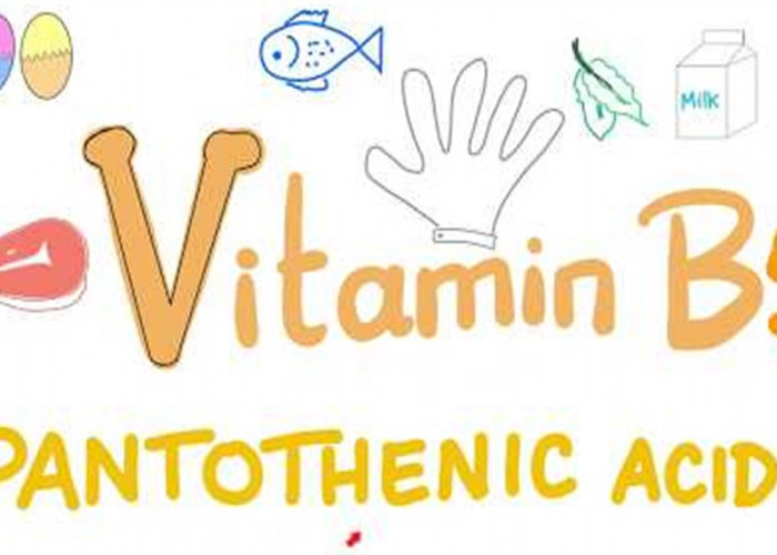 Penting Banget Ternyata Ini 3 Manfaat Vitamin B5 di Dalam Skincare, Salah Satunya Melembabkan Kulit Wajah