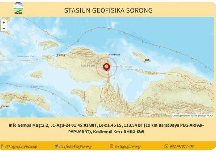 Pagi Ini Gempa Guncang Pegunungan Arfak, Papua Barat, Segini Kekuatan Magnitudonya
