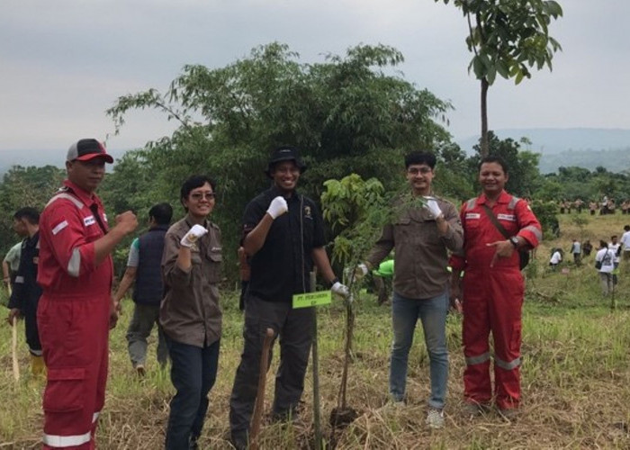 Pertamina EP Subang Field Tanam 3.800 Pohon di Pengujung Tahun, Inilah Jenis Pohon yang Ditanam