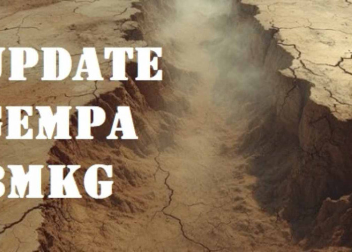 Update BMKG, Gempa 4.6 Magnitudo Pagi Ini Guncang Maluku Tenggara Barat, Tak Berpotensi Tsunami