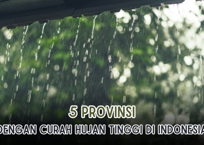 Peringkat Satu Bukan Bogor! Ini 5 Provinsi di Indonesia Dengan Curah Hujan Tertinggi